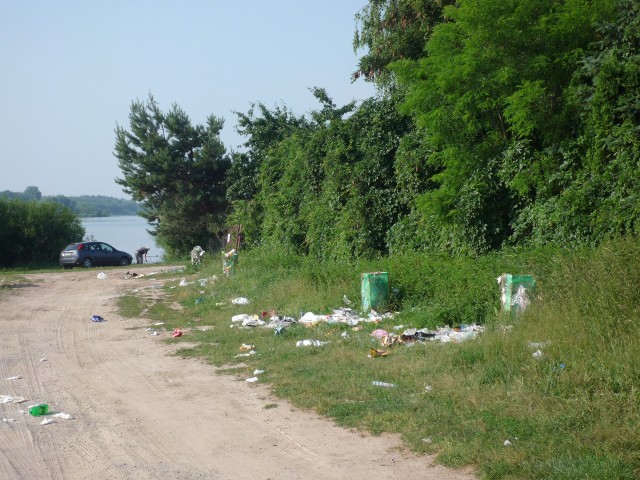 Tak wygląda okolica jednej z plaż nad zalewem w pobliżu Wólki Domaniowskiej: śmieci leżą w krzakach, przy drodze.