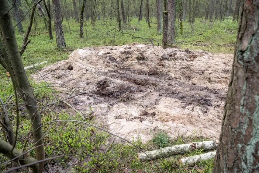 Poszukiwania szczątków obiektu pod koniec kwietnia w lesie w...