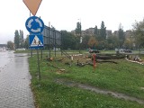 Sosnowiec. Wycięto drzewa przy ulicy Zaruskiego. Trwa budowa nowej linii tramwajowej, wkrótce ważna zmiana w ruchu