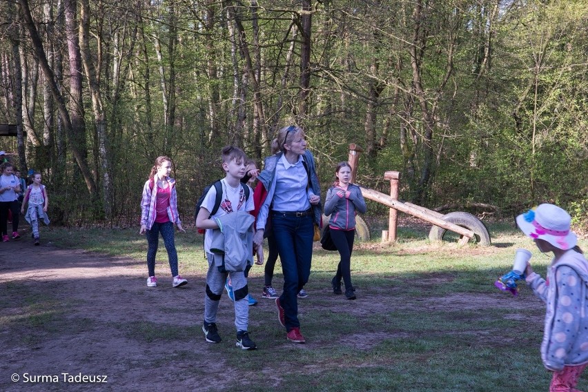 Stargard. Ekologiczne warsztaty na Bobrowej Polanie [ZDJĘCIA]