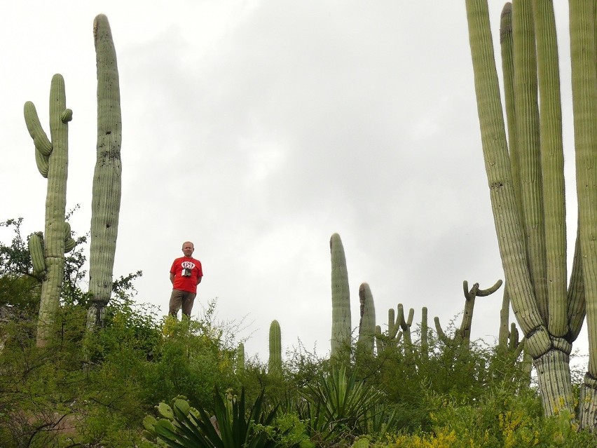 Wspomnienie meksykańskiej fiesty na wzgórzu pokrytym kaktusami [ZDJĘCIA]