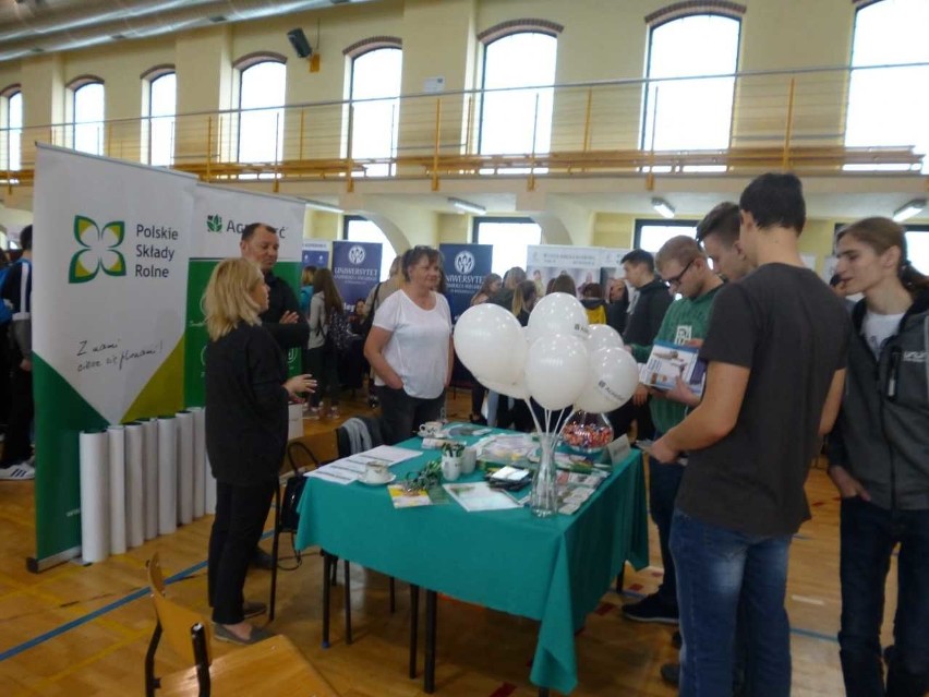 Targi Pracy i Edukacji w Chełmnie podzielone były na strefy...