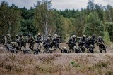 Polska Fundacja Narodowa: w godzinę W żołnierze NATO oddadzą Powstańcom hołd