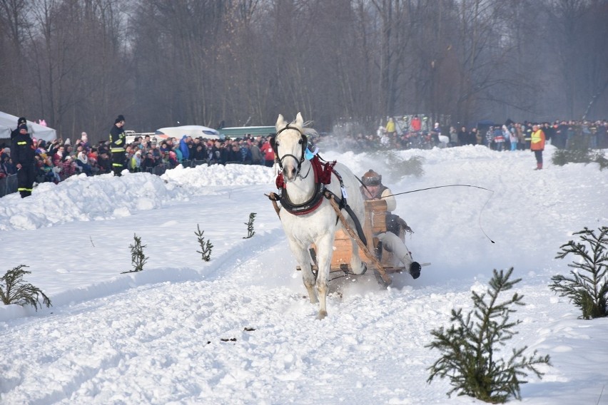 Parada Gazdowska 2019 - Biały Dunajec