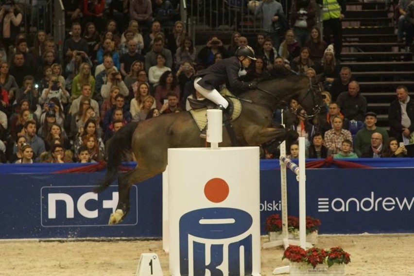 Cavaliada i potęga skoków na poznańskich targach