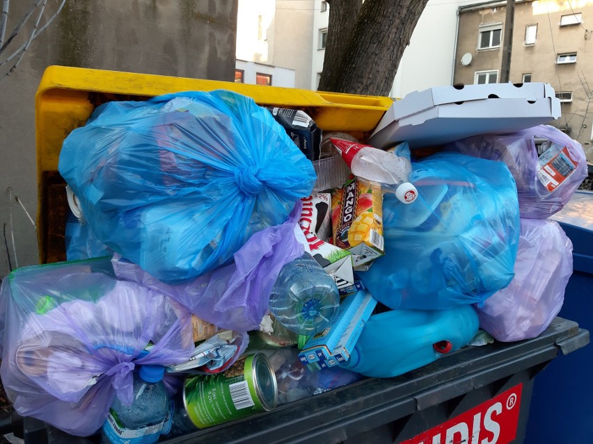 W styczniu, kiedy nie odbierano odpadów, śmieci wysypujące...