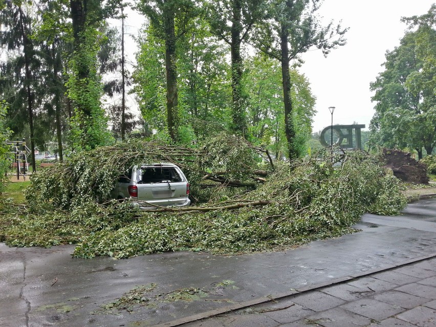 Burza w Łodzi. Nawałnica nad Łodzią. Powalone drzewa, gałęzie na drogach, zalane ulice [ZDJĘCIA]