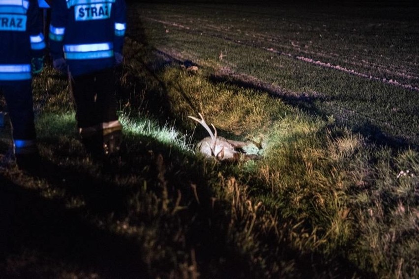 Groźny wypadek na drodze między Święciechową a Gołanicami w...