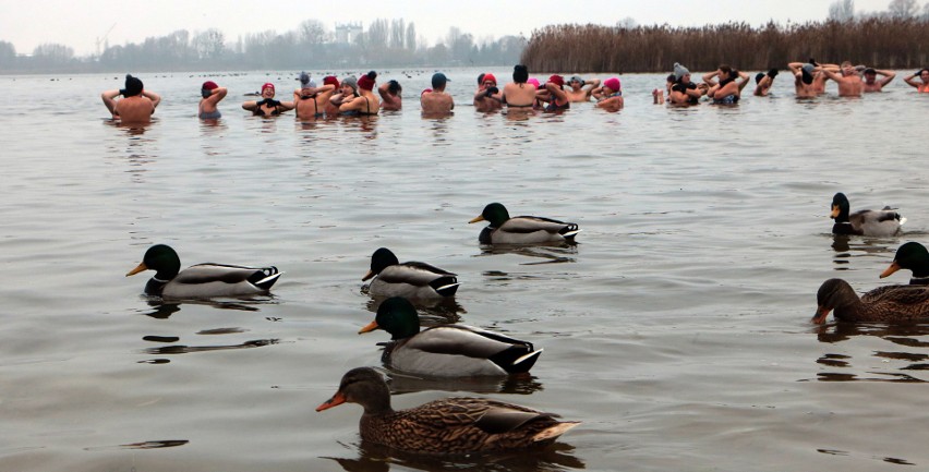 Co to za morsowanie, kiedy temperatura powietrza i wody jest...