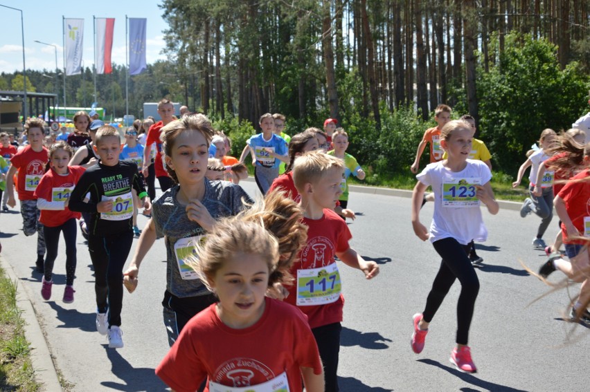 Dorośli i ci całkiem mali pobiegli w sobotę, 18 maja, w...