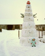 Bałwan - gigant. Największy na Podlasiu. Rolnik użył tura. 