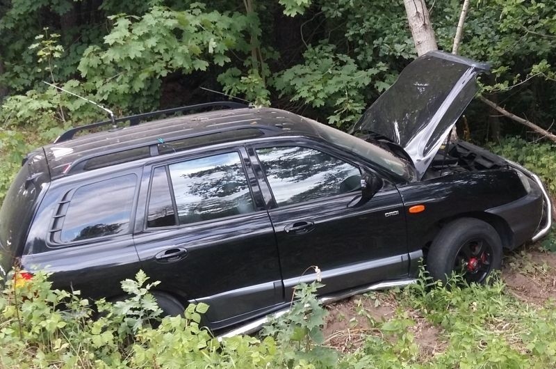 Mały Płock. Hyundai wypadł z drogi i uderzył w drzewo. 18-latka w szpitalu (zdjęcia)