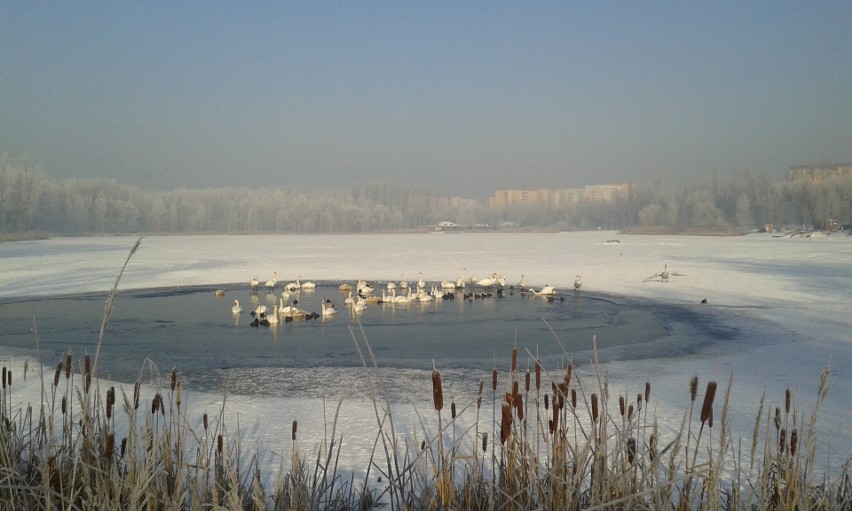 Sosnowiec: na Stawikach na razie zima, a niedługo zmiany [ZDJĘCIA]