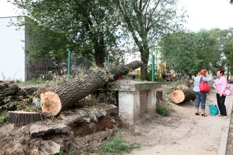 Trwa wycinka drzew przy budowie przedłużenia ulicy Białówny