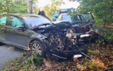 Wypadek na leśnej drodze w Miradzu pod Strzelnem. Dwie kobiety trafiły do szpitala [zdjęcia]