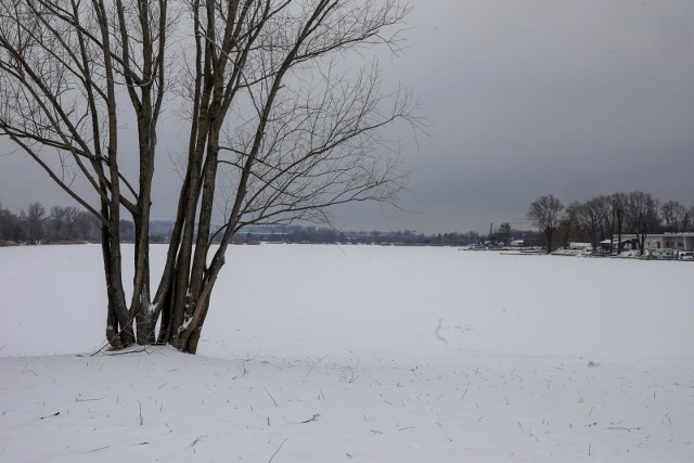 Opolskie. Uwaga, będzie mróz! Instytut Meteorologii i Gospodarki Wodnej ostrzega, że temperatury mogą spaść do -19 stopni Celsjusza!