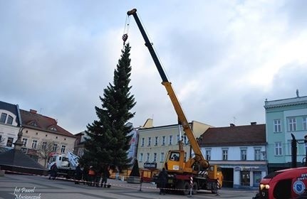 Rybnik stroi się na święta. Jemioła dla zakochanych w parku...