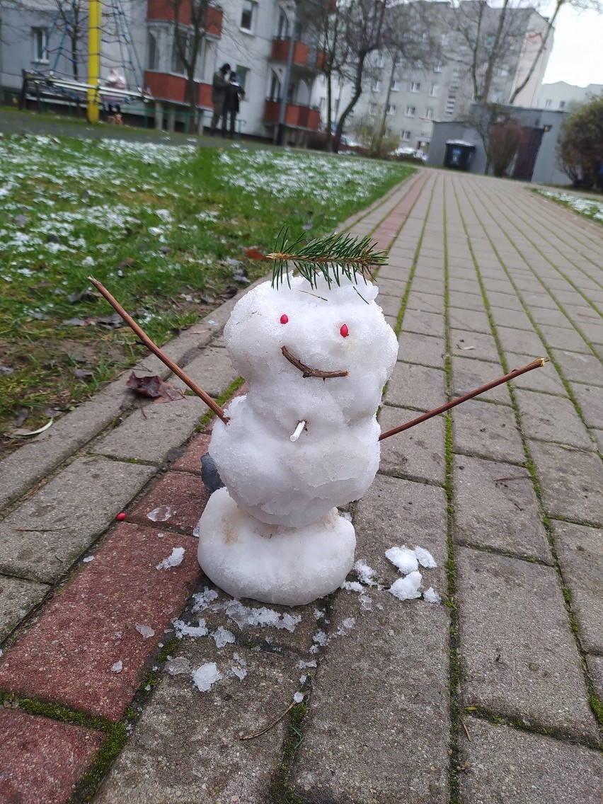 Śnieg w Białymstoku i w województwie podlaskim. Zima dotarła do regionu. Zobacz zdjęcia Internautów