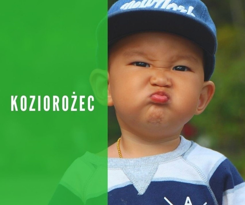 KOZIOROŻEC...