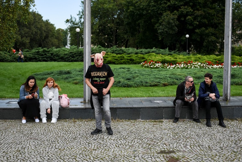 Animal Love Parade w Poznaniu