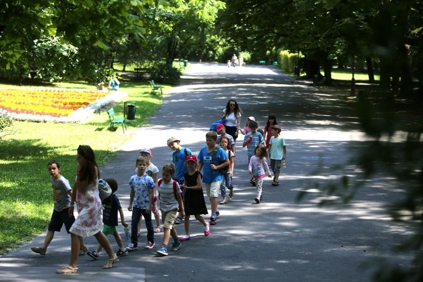 Park Bednarskiego to ulubione miejsce spacerów i rekreacji...