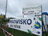 To można kupić na targowisku w Wejherowie. Warzywa, ryby, ubrania, kwiaty i nie tylko [ZDJĘCIA]