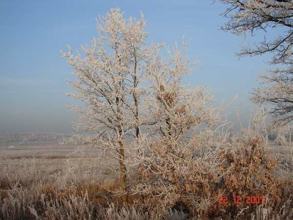 Pierwszy dzien zimy w powiecie zarskim.