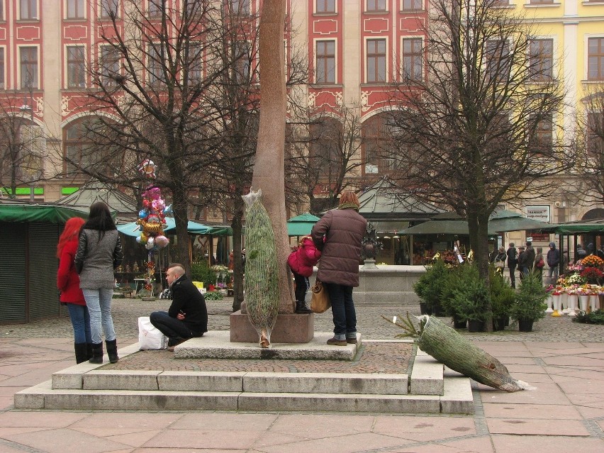 Wrocław, darmowe choinki na placu Solnym