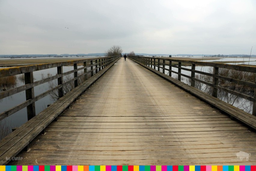 Malownicze położenie mostu w Bronowie przyciąga wielu...
