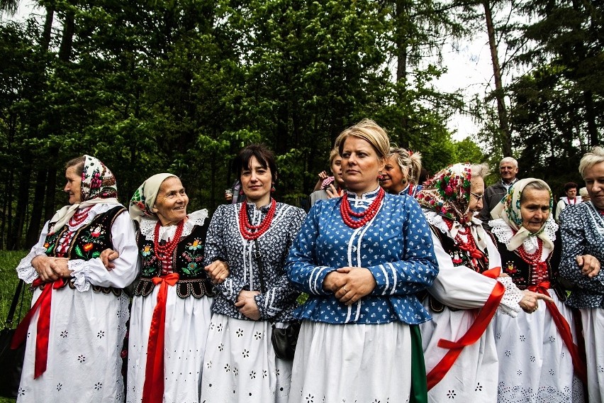 W Korbielowie w Beskidzie Żywieckim bacowie wypędzili owce na hale [ZDJĘCIA]