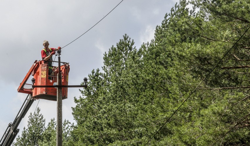 Masowa awaria energii elektrycznej to skutek zerwanych linii...