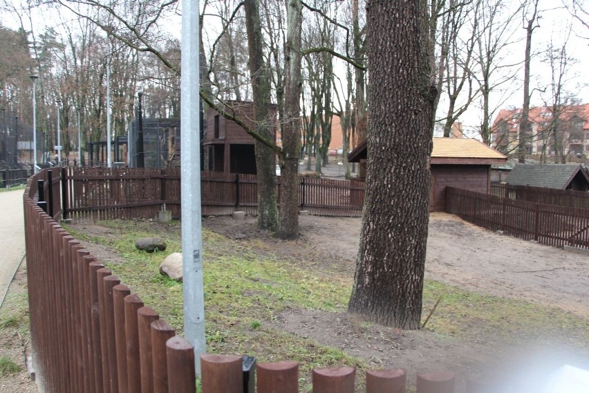 Białystok. Kolejny etap modernizacji zoo zakończony (zdjęcia, wideo)