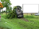 Rokosz: BMW uderzyło w drzewo. Kierowca w szpitalu [ZDJĘCIA]