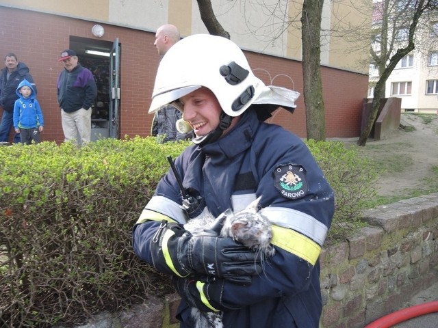 Pożar mieszkania w Stargardzie. Strażacy uratowali również kotka.