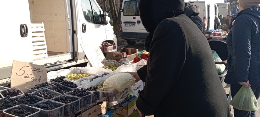 W czwartek, 16 lutego znów odwiedziliśmy jędrzejowskie...