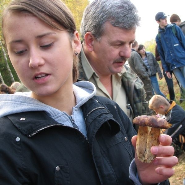 Mistrzostwa w zbieraniu grzybów w lasach kolo Kleszczel