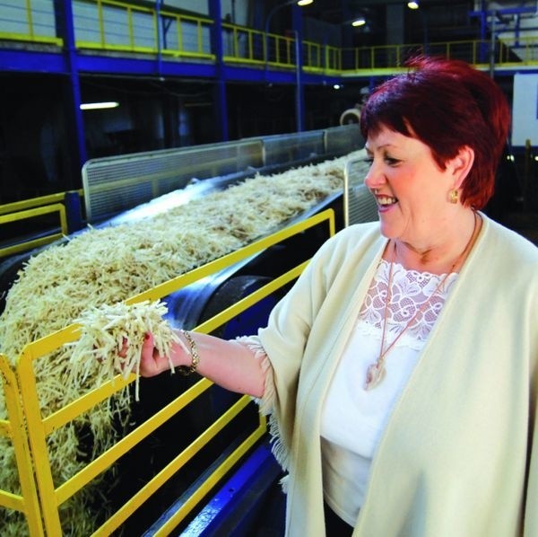W tym roku zamierzamy kupić około 370 tysięcy ton buraków i wyprodukować 60 tysięcy ton cukru - mówi Barbara Łapińska, rzecznik prasowy Cukrowni Łapy