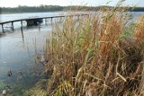 Skrajności nad wodami powiatu świeckiego. Elita i patologia