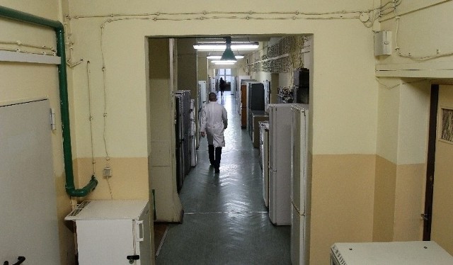 Tak wyglądają korytarze obok laboratoriów na Wydziale Chemicznym.