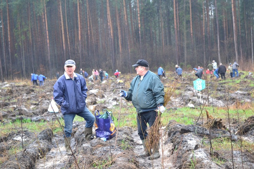 Dąbrowa Górnicza: Las Europejski posadzony już po raz dwunasty [ZDJĘCIA]