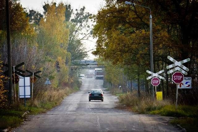 Park przemysłowy dostał zewolenie na wycinkę 11 hektarów lasu