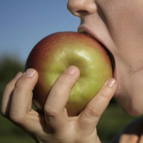 Jabłko zawiera kwercetynę - jeden z najlepiej poznanych i bardziej cennych bioflawonoidów.
