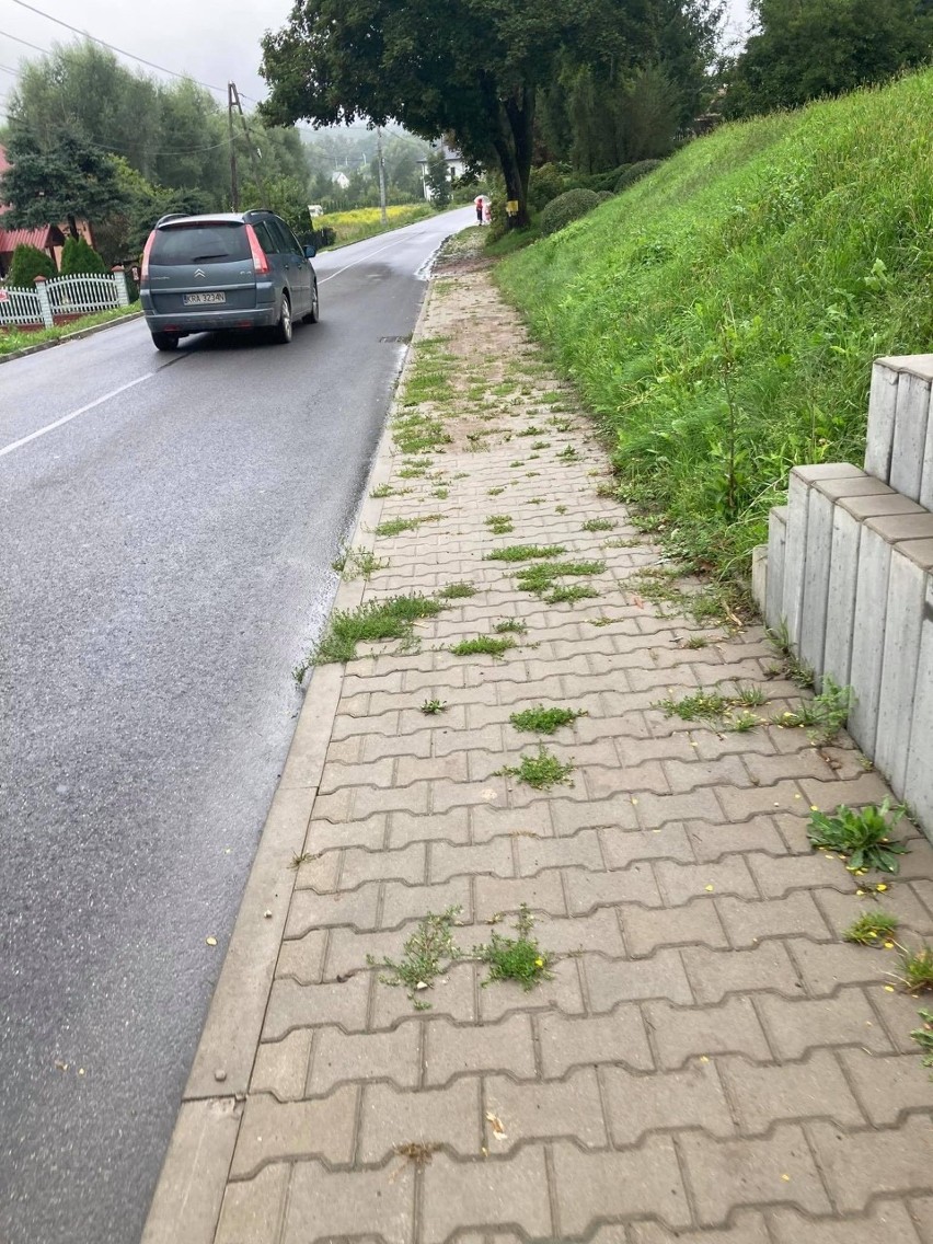 Łuczyce. Chodnik zarósł trawą i został zalany wyciekami z pobliskich nieruchomości. Ludzie skarżą się, że muszą przez to przeskakiwać