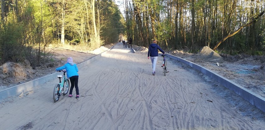 Szczecin. Powstaje trasa rowerowa w Puszczy Bukowej. Już cieszy się zainteresowaniem