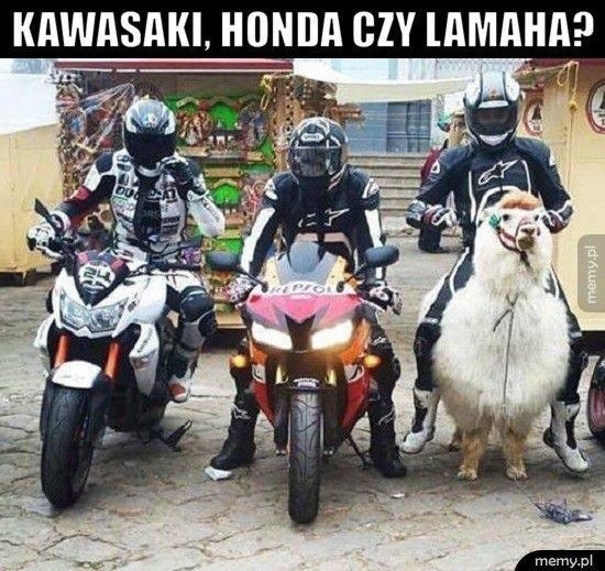 Dla wielu prawdziwych motocyklistów szybka jazda na dwóch...