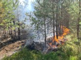 Ogień to niebezpieczny żywioł w lesie. Leśnicy z innymi służbami walczą z pożarami 