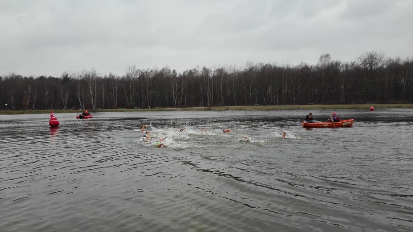 Mistrzostwa Polski w pływaniu zimowym w Katowicach