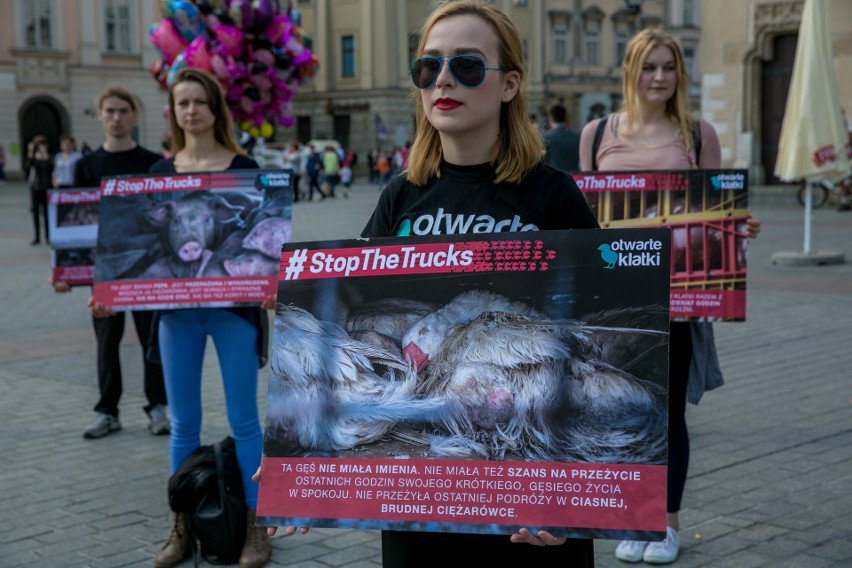 Kraków. Protest przeciwko długodystansowemu transportowi zwierząt [ZDJĘCIA]