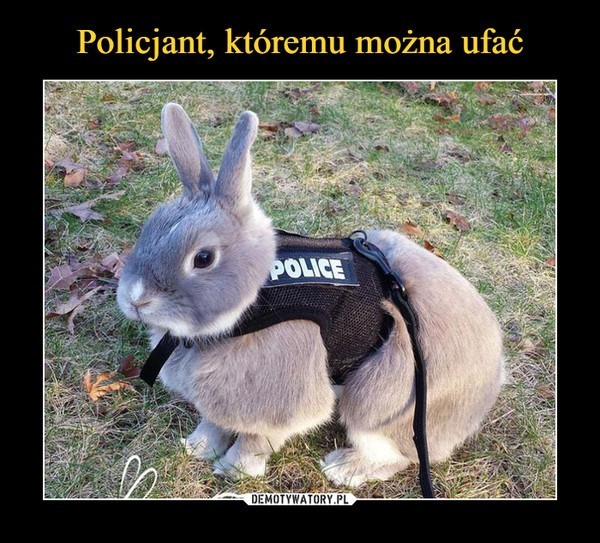 24 lipca przypada Święto Policji. Dzień ten jest dobrą...