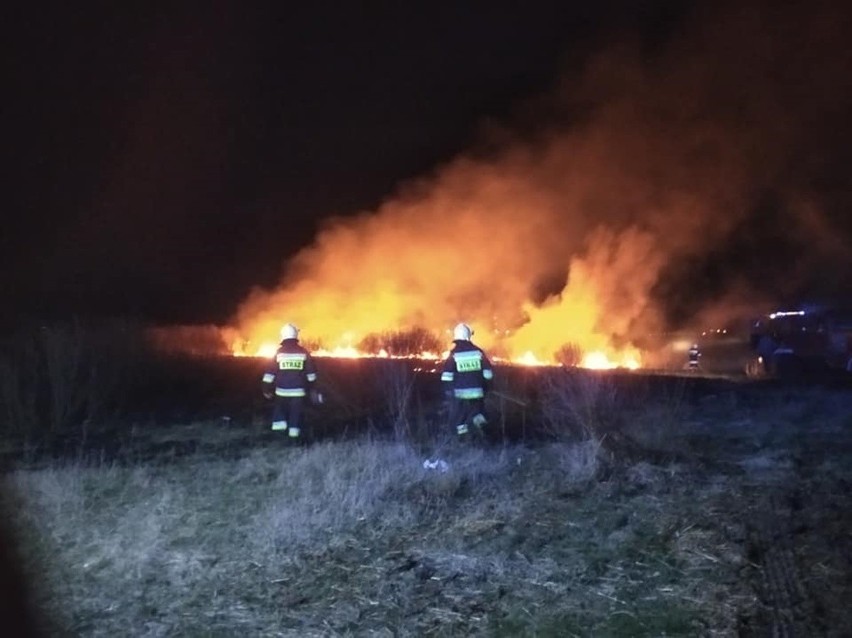 W sobotę strażacy z gminy Łęczna mieli naprawdę pracowity...